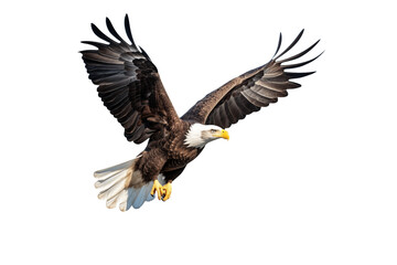 Eagle fly on transparent from die cutting, US concept, PNG