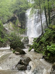 Lyazhginsky waterfall in the spring forest. Cascading waterfall drowning in greenery. Splashes of water. The water flows of the river Lyazhgi. Ingushetia, Caucasus Mountains, Russia