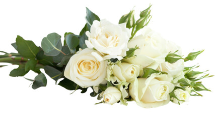 White roses