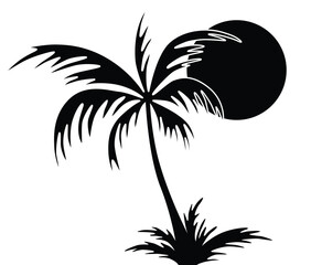 The sun afther the palm tree not IA