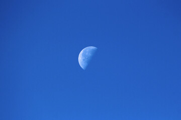 The Moon as Earths only natural satellite clearly visible in its Waning gibbous Moon phase on clear blue sky early in the morning
