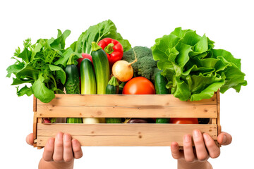 A man's hands hold box with vegetables on a white or transparent background. Selling vegetables at a market or store close-up.