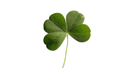 Four-leaf clover
