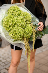 Close-up of a huge bouquet of green hydrangeas in wrapping paper, in the hands of a young woman