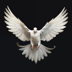 White Dove Flying in Peaceful Sky, Isolated on Black Background - Symbol of Freedom and Love