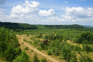 Fototapeta na wymiar Young forest on old mine