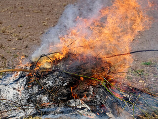 A controlled fire burns debris on the ground.