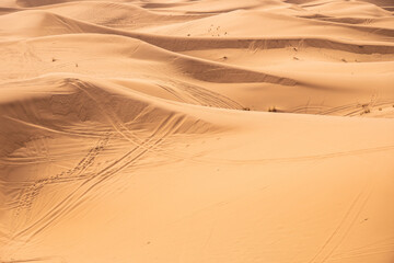 Merzouga, Morocco, Stunning sand dunes in the desert