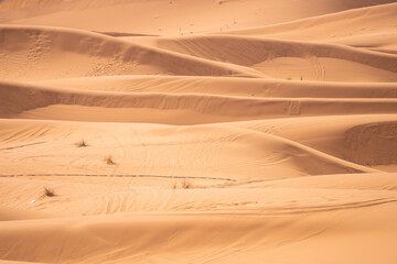 Merzouga, Morocco, Stunning sand dunes in the desert