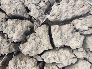 Dry and cracked soil texture.