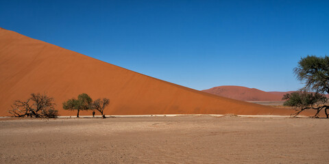 Fototapeta na wymiar Oryx standing in the dry riverbed under a tree in front of Dune 40 in the area of the red sand dunes of Sossusvlei in the Namib Nauklft National Park in Namibia