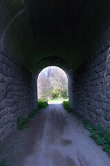 Obraz premium tunnel in the park