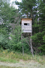 wooden house
