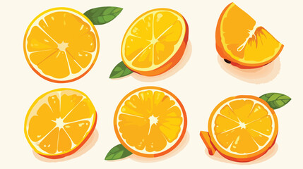Cartoon Illustration Style Orange Fruit Cut Slice 2