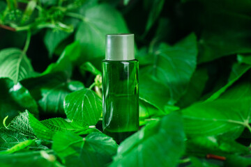 Green small bottle on a green background. Serum, vitamins, water
