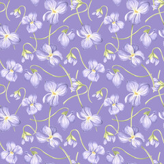 Flowers Violet Seamless pattern Dark background. Watercolor garden pansy. Hand drawn illustration spring blossom. Meadow wild Viola. Botanical template for wallpaper, scrapbooking, wrapping, textile.