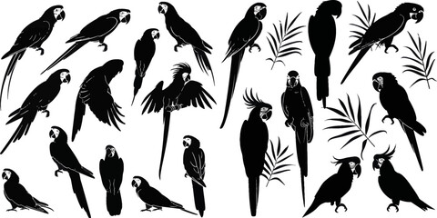 Vector parrot silhouettes - obrazy, fototapety, plakaty