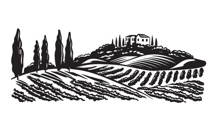 Naklejka premium Vineyard landscape, Sketch, hand drawn illustrations.