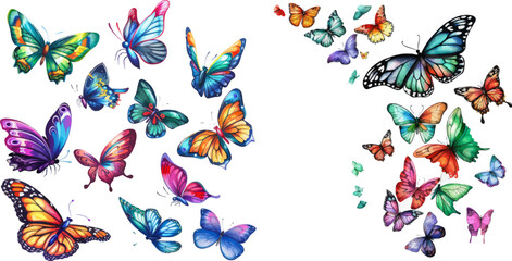 Colorful tropical butterfly decorative elements on white for design