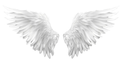 Angel wings