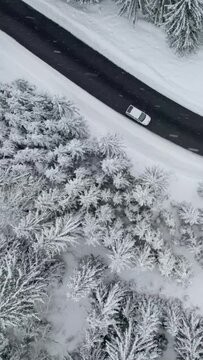Aerial Vertical Screen top down shot of white car drives along the road in winter snowy forest. Traveling by car in winter, driving in bad weather