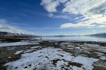 Solitude atop arctic sands