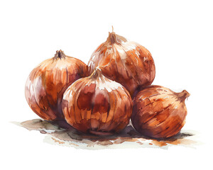 Watercolor Illustration of Brown Onions Cluster