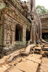 Ta Prohm