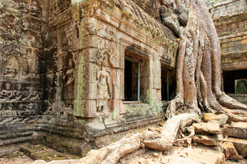 Ta Prohm