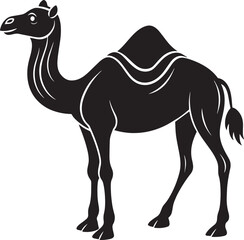 Illustration of a camel on a white background. Vector image.