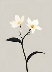 vanilla flower minimalistic modern (2).jpg