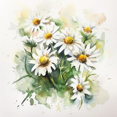 Obraz premium Light watercolor strokes forming a cluster of daisies, simple whites and greens creating a fresh and airy composition on a white canvas