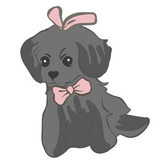 black puppy dog with cute ribbon bow pink 