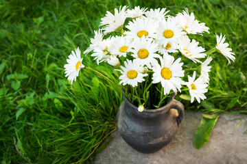 A rustic jug holds a bouquet of fresh white daisies on lush green grass under natural light.