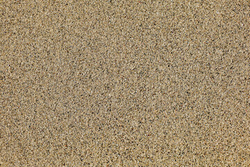 sand texture - sandy beach - summer