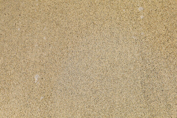 sand texture - sandy beach - summer