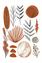 Terracotta botanical elements isolated illustration