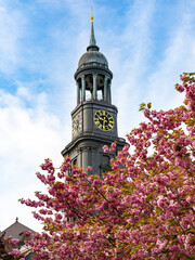 Teilansicht des Turmes der Sankt Michaelis Kirche in Hamburg, im Vordergrund ein blühender...