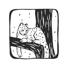 Vector hand-drawn illustration of a jaguar on a tree. A stamp with a wild Brazilian animal in the style of a sketch.