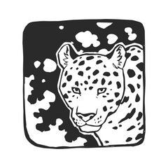 Vector hand-drawn illustration of a jaguar head on natural background. A stamp with a wild Brazilian animal in the style of a sketch.
