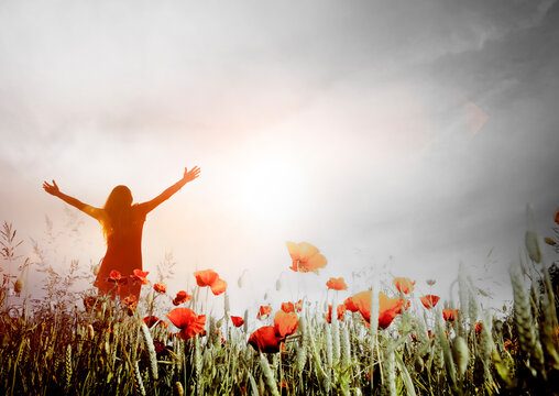 Gl&uuml;ckliche Frau ein einem Blumenfeld