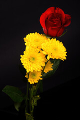 Colorful Floral Arrangement isolated - 790802351