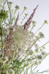 Bouquet of white flowers on a white background. Wild carrot and yarrow. Simple summer flower. Nature flora aesthetic. Petal bud. Floral botanical. Minimal style.