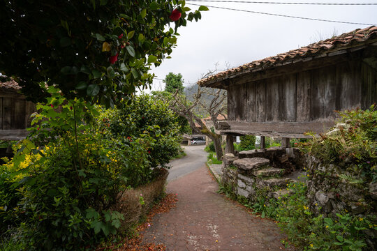 Asturian horreo (construction to preserve food) in the Town of Cuevas. Ribadesella. Asturias