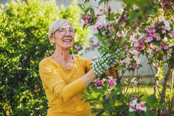 Happy senior woman enjoys looking at flowers in her garden. - 790818908