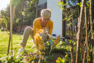 Happy senior woman enjoys  gardening with her cute cat. She is pruning plants.