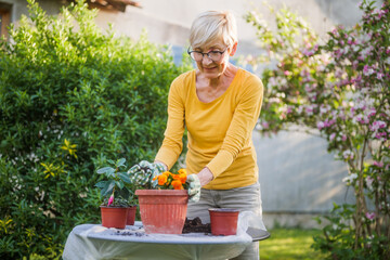 Happy senior woman gardening in her yard. She is planting flowers. - 790819551