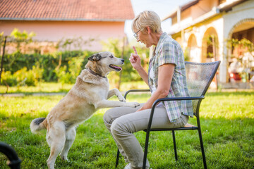 Senior woman scolding her husky dog while they spending time in yard.