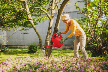 Happy senior woman enjoys watering plants in her garden. - 790821585