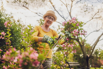 Portrait of happy senior woman gardening. She is pruning flowers.